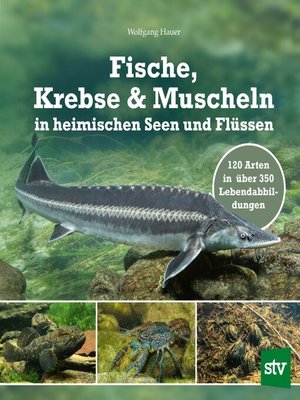cover image of Fische, Krebse & Muscheln in heimischen Seen und Flüssen